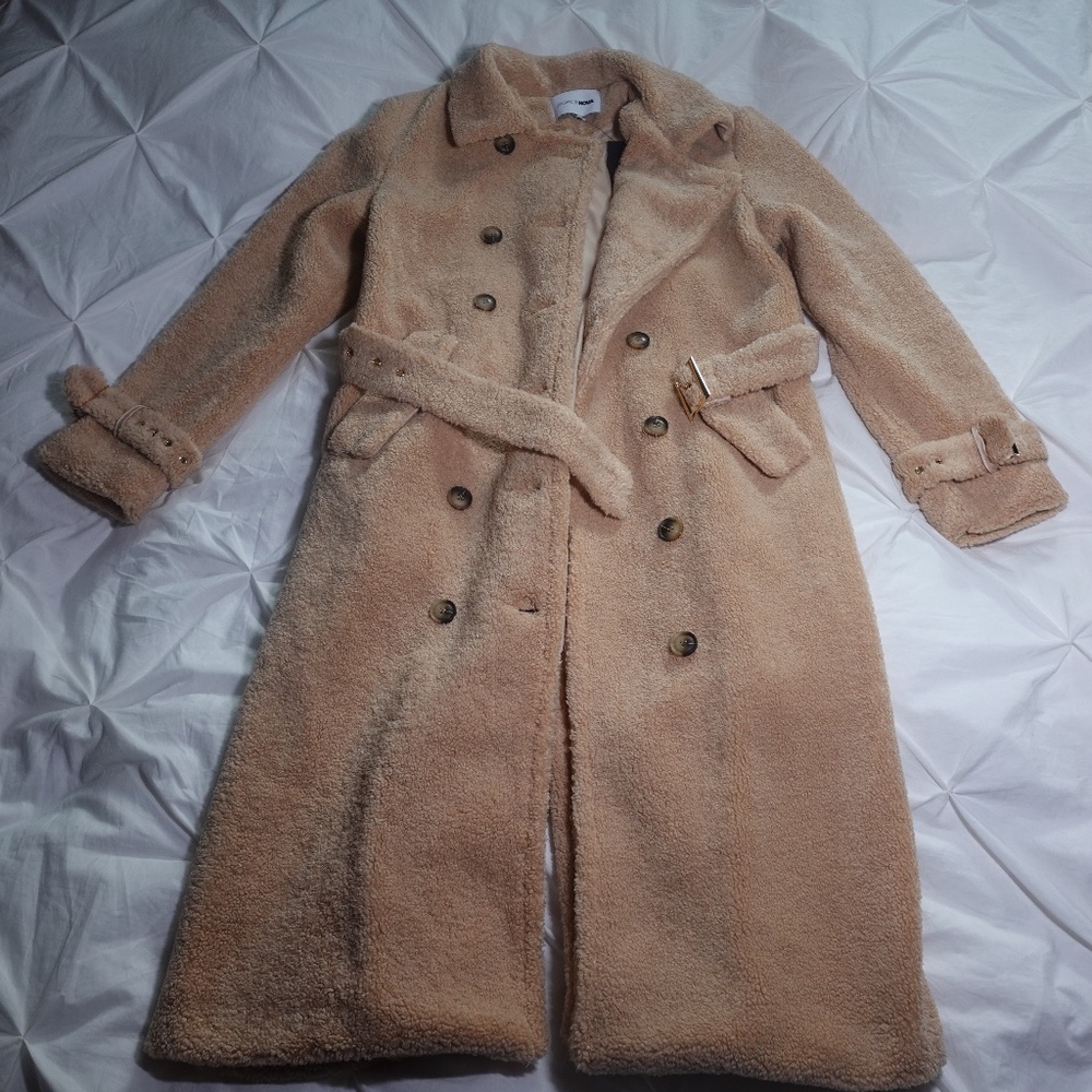 Fluffy Teddy Coat